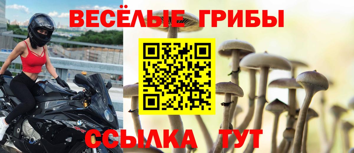 Валуйки  Псилоцибиновые грибы GOLDEN TEACHER  Вход с VPN 